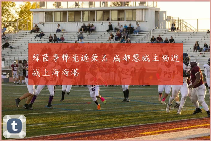 绿茵争锋竞逐荣光 成都蓉城主场迎战上海海港